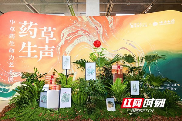 免费看！“中国植物画第一人”曾孝濂作品来长沙了